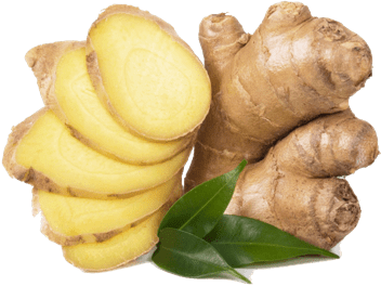 Ginger Root